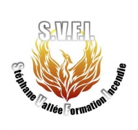 SVFI